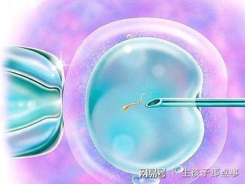 二代试管婴儿费用