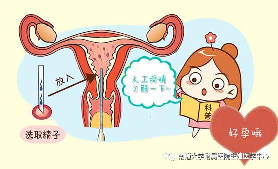 云南海外试管婴儿机构