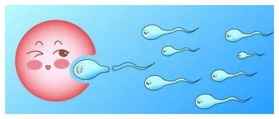 二代试管婴儿