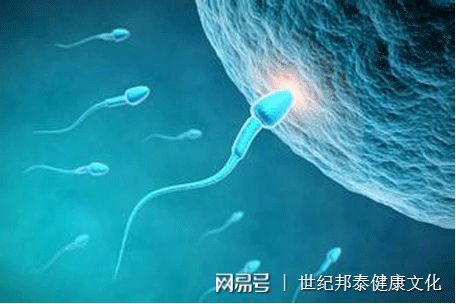 么么亲子网