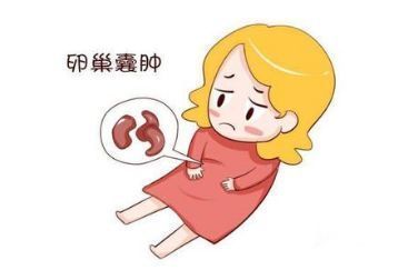 第四代试管婴儿