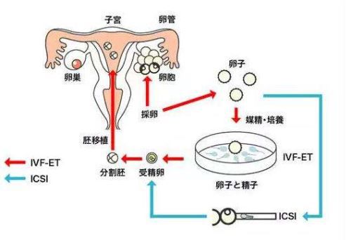 久坐不孕