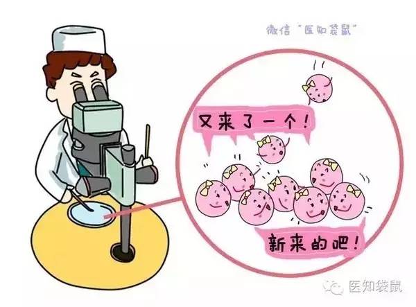 丹东第四代试管婴儿