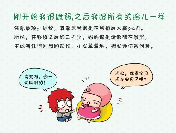 二代试管婴儿