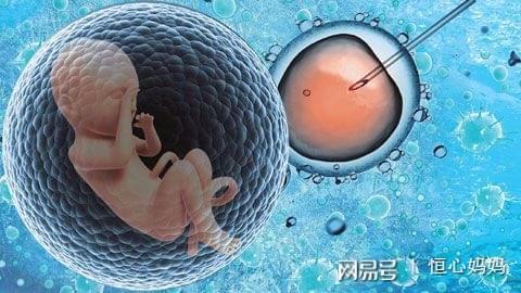 二代试管婴儿