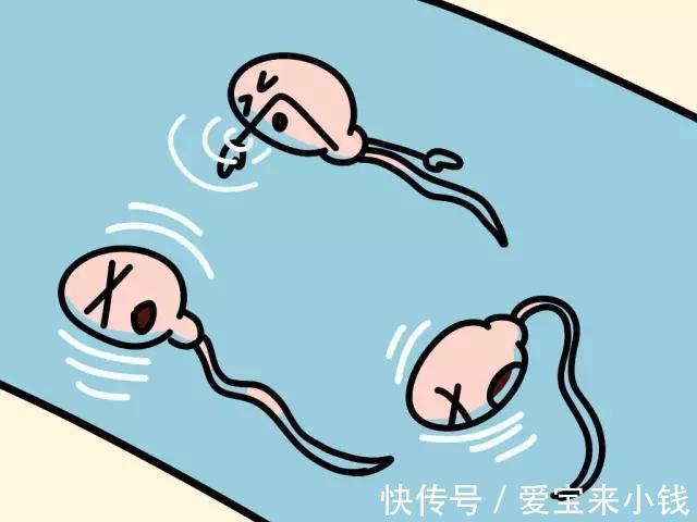 云南试管助孕费用