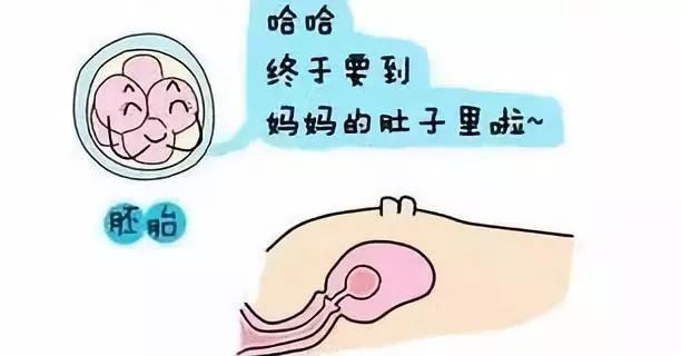 二代试管婴儿