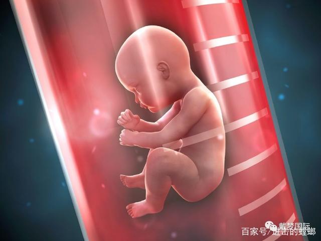丹东试管婴儿