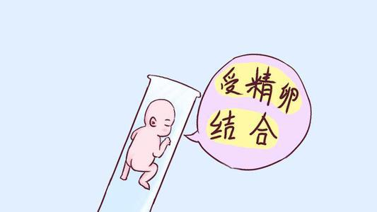 二代试管婴儿
