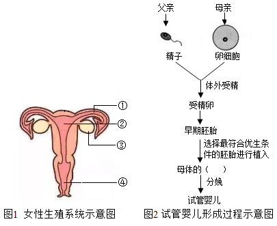 乌鲁木齐