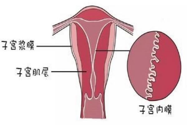 二胎不孕