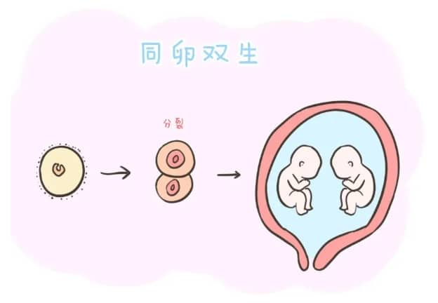 试管婴儿