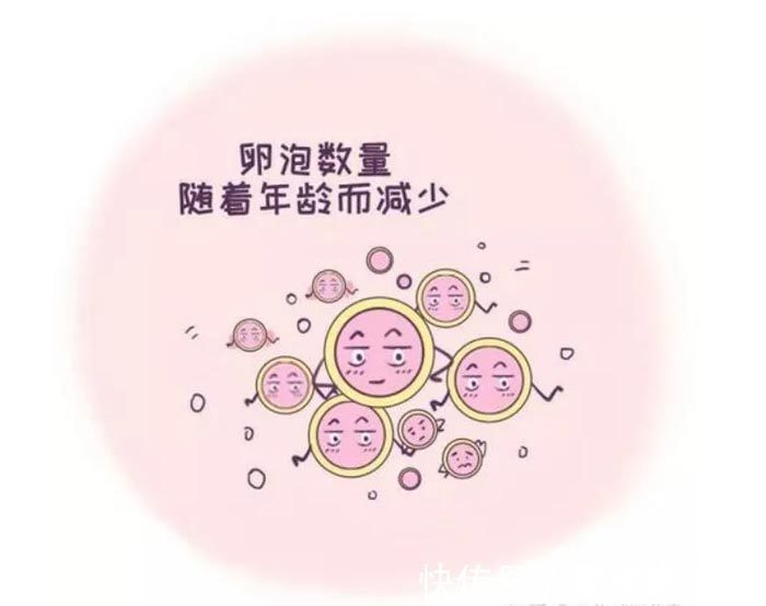 上海出租车