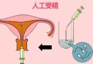 上海卫生人才招聘
