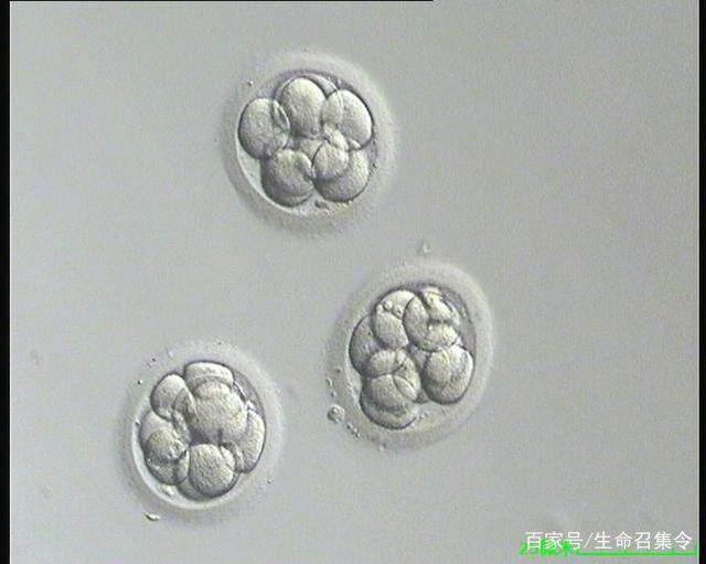 上海捐款事件