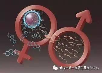上海捐卵