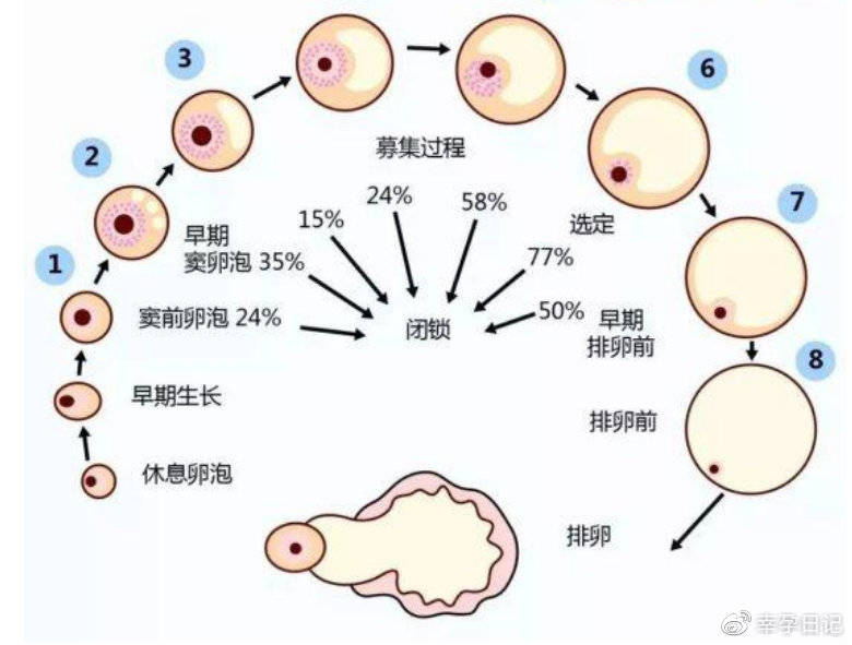上海的四大咨询公司