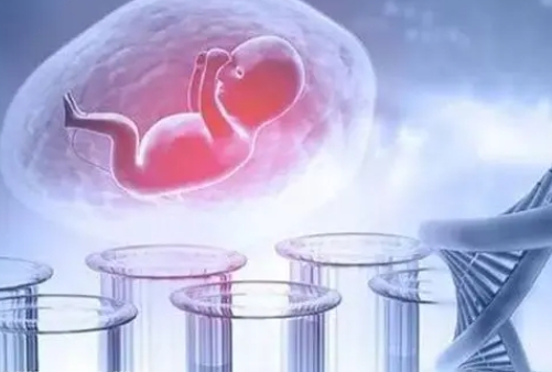 上海地下精子库