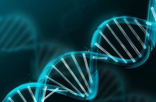 上海批发蝈蝈卵