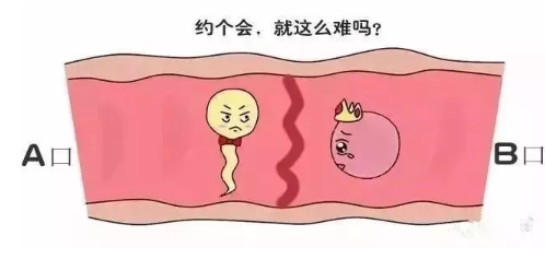 上海捐卵中介