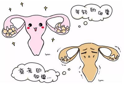 上海招聘市场