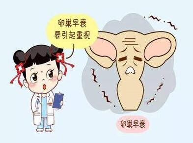 上海咨询公司