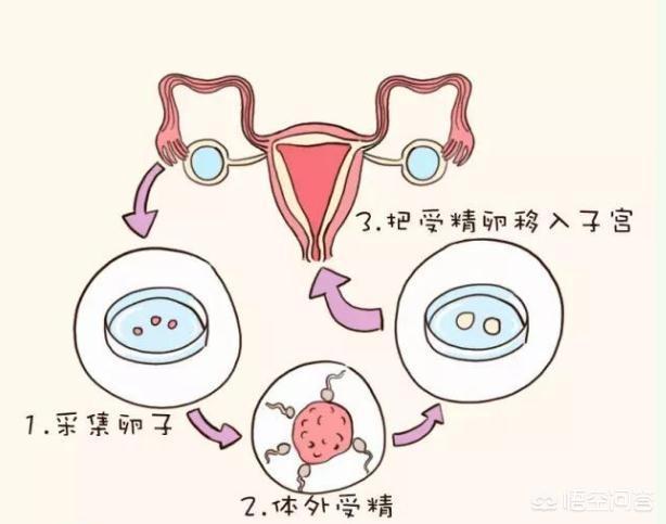 上海咨询公司