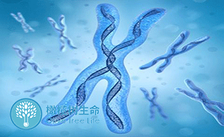 上海捐卵中介哪家好
